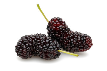 Black mulberry isolated on white