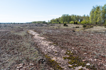 Open limestone bedrock in a barren landscape
