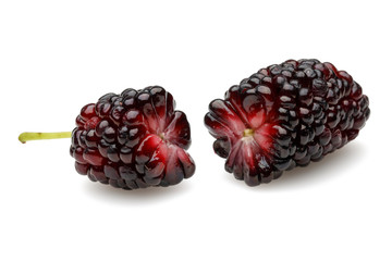 Black mulberry isolated on white