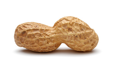 Peanut isolated on white background