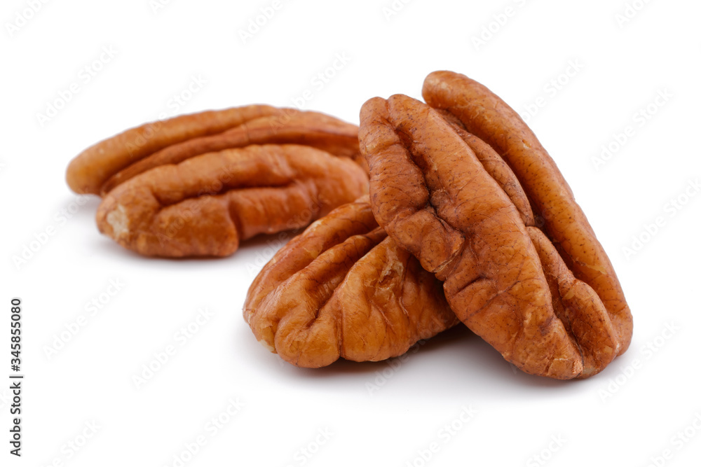 Sticker Pecan nut isolated on white