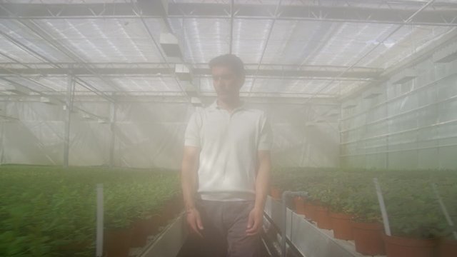 MS TS Woman and man walking through greenhouse shrouded in mist