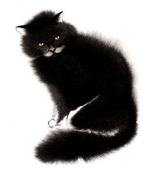Watercolor image of fluffy black cat with direct attentive enigmatic look. Hand drawn illustration of domestic pet isolated on white background. Mysterious animal with serious expression