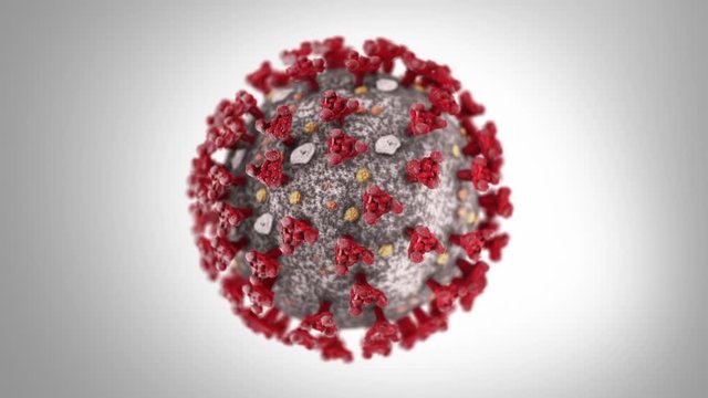  Covid 19 Model Rotating 360 Degrees. Hyper Realistic Animation Of The Covid 19 Virus. With White Background. Loopable. Luma Matte.