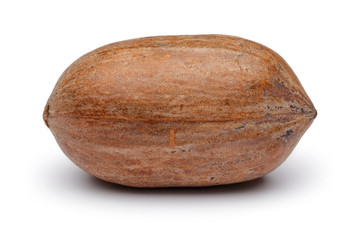 Pecan nut isolated on white