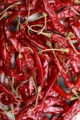 Dry red chilli