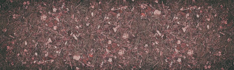 Wild herbs and leaves layout. Wide natural plant texture. Retro nostalgic autumn vintage background