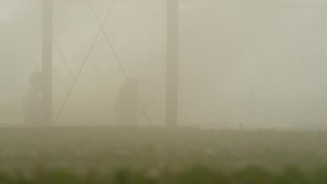 WS&nbsp;TS Man and woman walking into greenhouse with mist