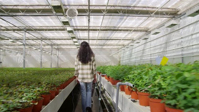 WS TS Woman and man walking through greenhouse and looking at plants