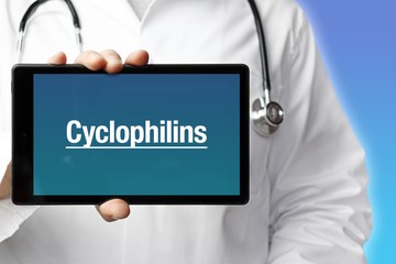 Cyclophilins. Doctor in smock holds up a tablet computer. The term Cyclophilins is in the display. Concept of disease, health, medicine