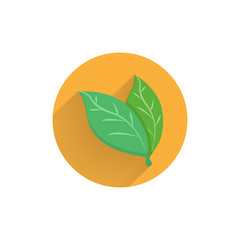Bay Leaves colorful flat icon with long shadow. Bay Leaves flat icon
