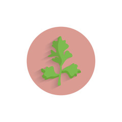 Parsley, Italian Flat Leaf colorful flat icon with long shadow. Parsley flat icon