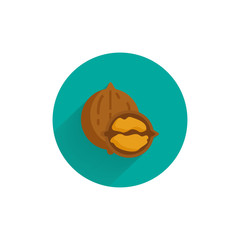 walnut colorful flat icon with long shadow. walnut flat icon