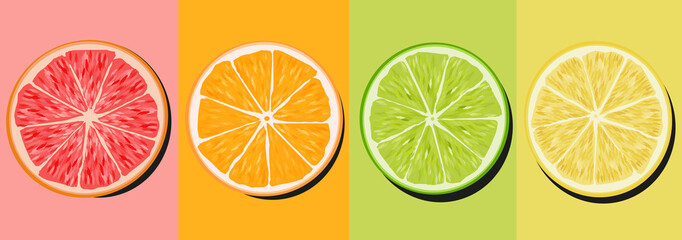 Fototapeta premium set citrus lime lime orange and grapefruit cutaway