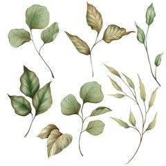 Set of green leaves in watercolor style. Isolated on white
