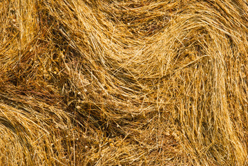 rolled up bale of straw detail