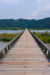 静岡県の蓬莱橋