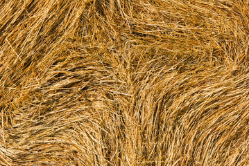 rolled up bale of straw detail