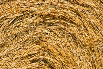 rolled up bale of straw detail