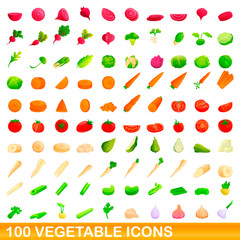 100 vegetable icons set. Cartoon illustration of 100 vegetable icons vector set isolated on white background
