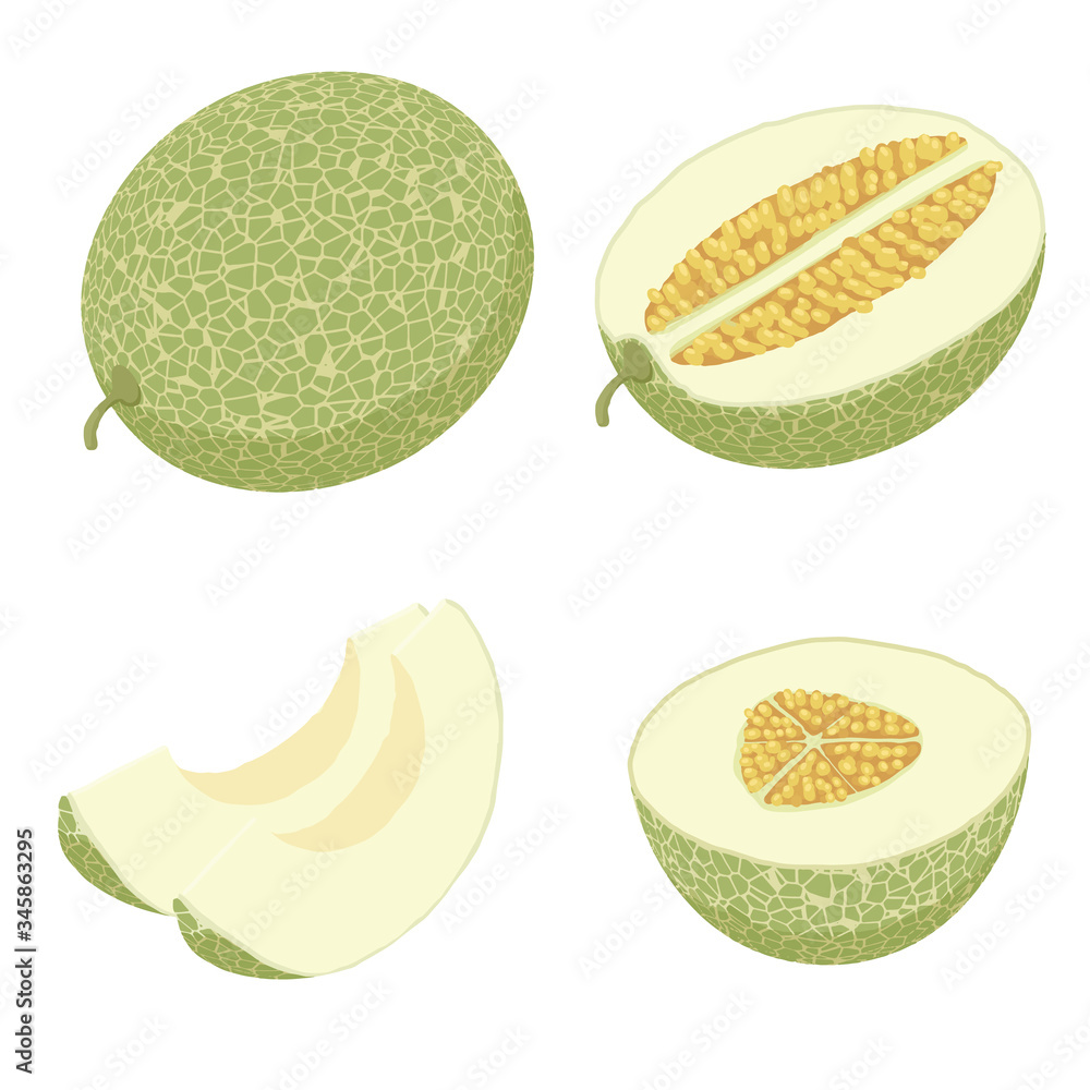 Poster melon icons set. isometric set of melon vector icons for web design isolated on white background