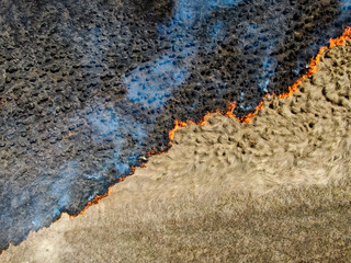 dry grass burns in the field, top view, shooting aerial, spring fire, diagonal fire front, 

