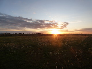 Sunset in an Australian wetland