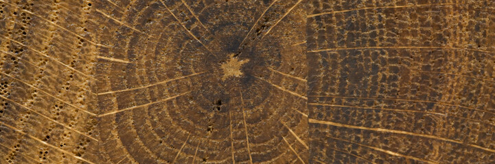 Obraz premium Abctract wooden texure closeup background. Print for laminate board concept