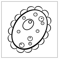 Fototapeta premium Vector illustration with outlines of bacteria, virus, cells, germs or epidemic bacillus. For web, logo, app, UI. Isolat