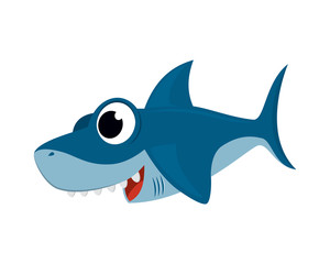 Cute and Sweet Shark Illustration with Cartoon Style