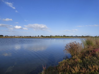 Creek and sky