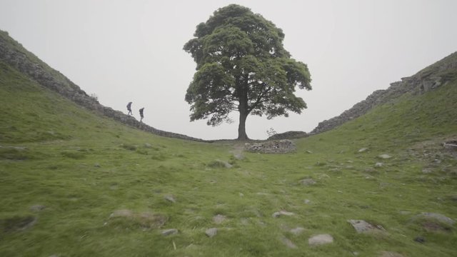 A couple hike near the famous sycamore gap tree, northumberland national park