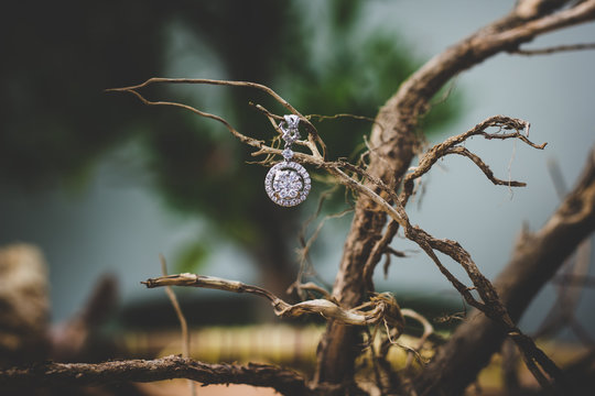 Elegant diamond pendant hanging on branch.Jewelry product photography. Good for autumn season decoration.