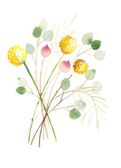 Obraz na płótnie Canvas Craspedia and eucalyptus bouquet painted in watercolours