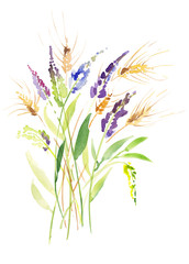 Fototapeta na wymiar Watercolor Wheat and lavender Bouquet