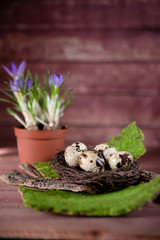 nest full of quail eggs decorated with tree bark and moss on a wooden background. flower in the background, vertical photo