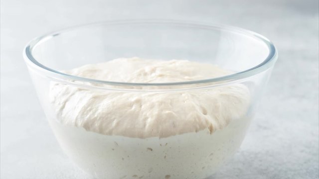 Yeast dough grows in a glass bowl on a gray background, front view. timelapse.
