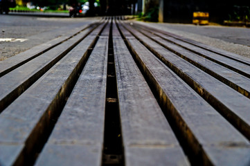 bench in the park