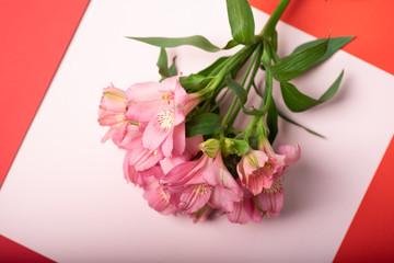 Beautiful bouquet of pink flowers on a light-rose table and red frame. Creative postcard for womens day, mothers day, spring blossom. Top view image