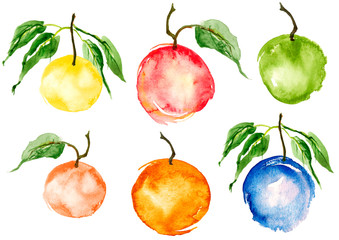 Set of citrus, orange, lemon, lime,lychee, pitaya, lime, peach, kiwi, plum, apricot, cherry plum watercolor. Watercolor logo. Orange, yellow abstract tropical fruit stain - orange, mandarin, lemon