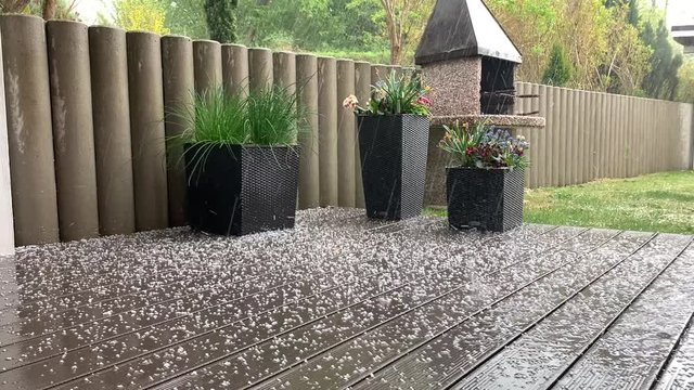 a hailstorm comes down in a garden