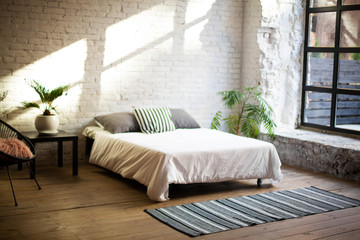 Simple modern bedroom interior with living flower near the bed