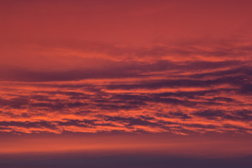 Dramatic sky with lush lava color, pink and purple fluffy striped clouds as abstract background, texture.