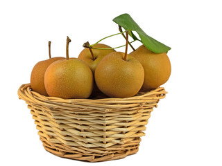 Nashi-Birnen, Pyrus pyrifolia, im Korb,isoliert vor weißem Hintergrund