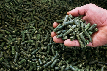 a large number of alfalfa green granules in a warehouse for the production of agricultural feed - obrazy, fototapety, plakaty