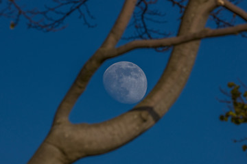 vollmond
