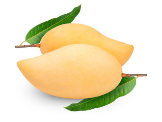 Yellow Mango with leaves isolated on white background, Golden mango on the white background with...