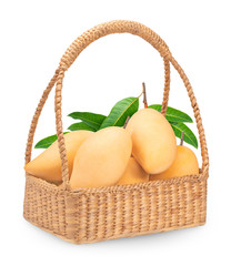 Basket of the Golden mango isolated on white background. Yellow mangos with leaves on white background