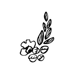 Hand drawn a branch of a flowering tree isolated on a white background. Doodle, simple outline illustration. It can be used for decoration of textile, paper and other surfaces.