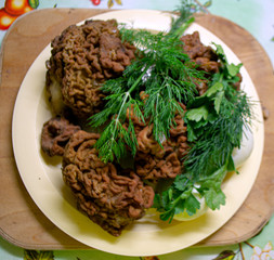 The first spring mushrooms called morels